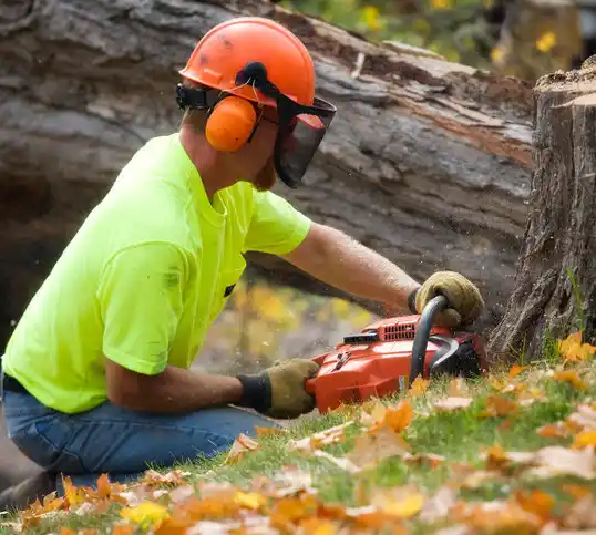 tree services Burt